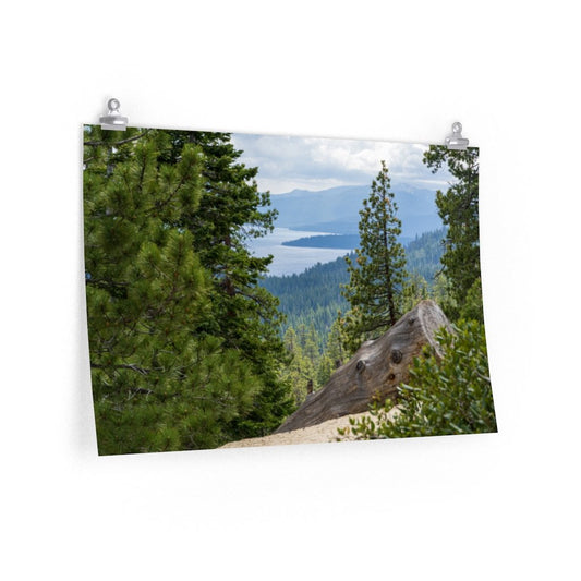 Rifle Peak Nature Trail (Poster) - etzphotos