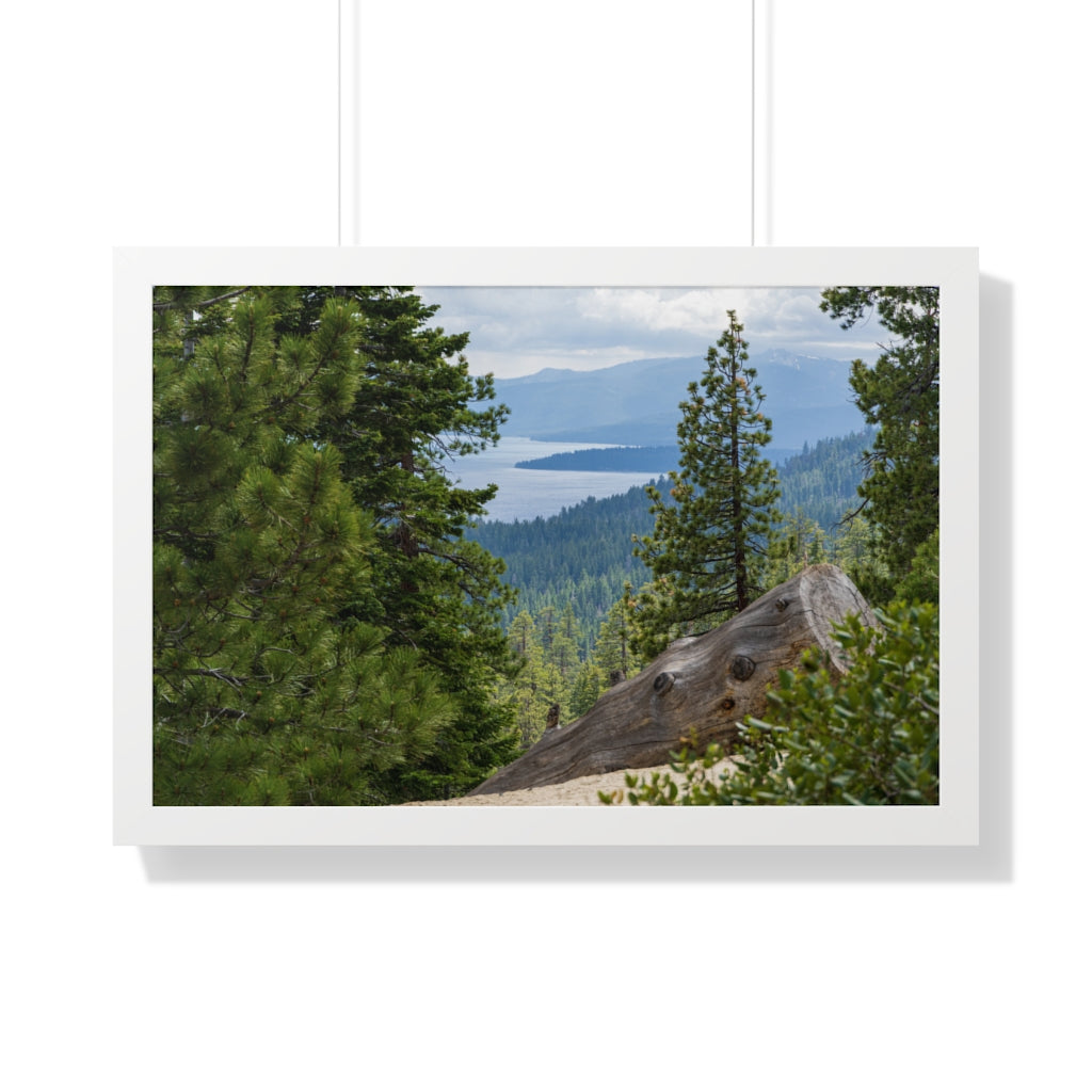 Log at Rifle Peak - etzart